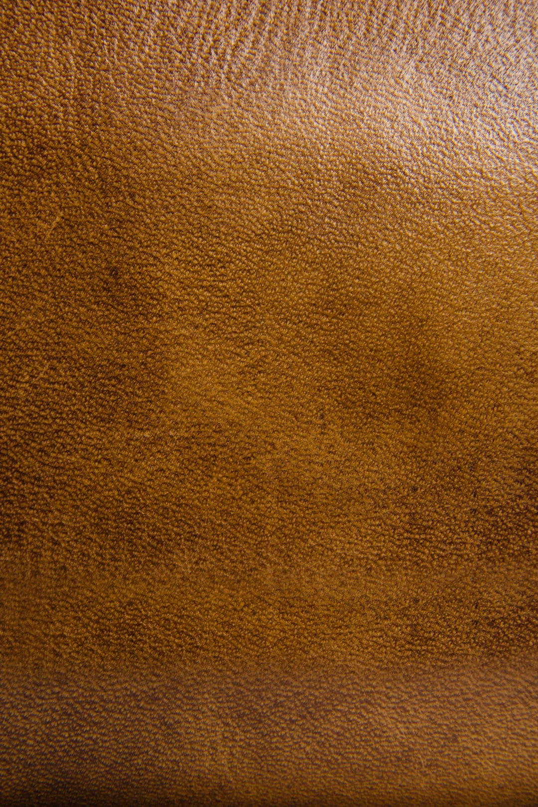 Beige Wallets & Accessories Frye Melissa Beige Zip Wallet