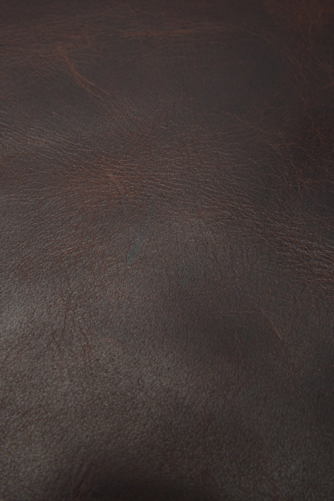 Dark Brown Bags Frye Logan Dark Brown Backpack